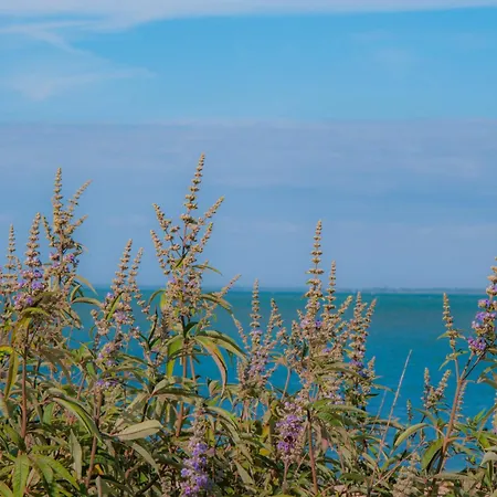 Oleron Maisonmer